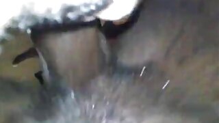 მხიარული სამოყვარულო ...