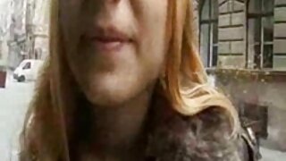 ინგლისელი ჩიჩი კეიტ  ...