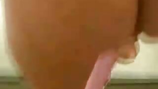 ორთქლიანი იაპონური მ ...
