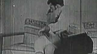 მხიარული წიწილა ბიკი ...
