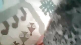 საყვარელი პატარა დაკ ...